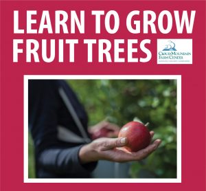Learn to Grow Fruit Trees @ WCLS Everson Library | Everson | Washington | United States