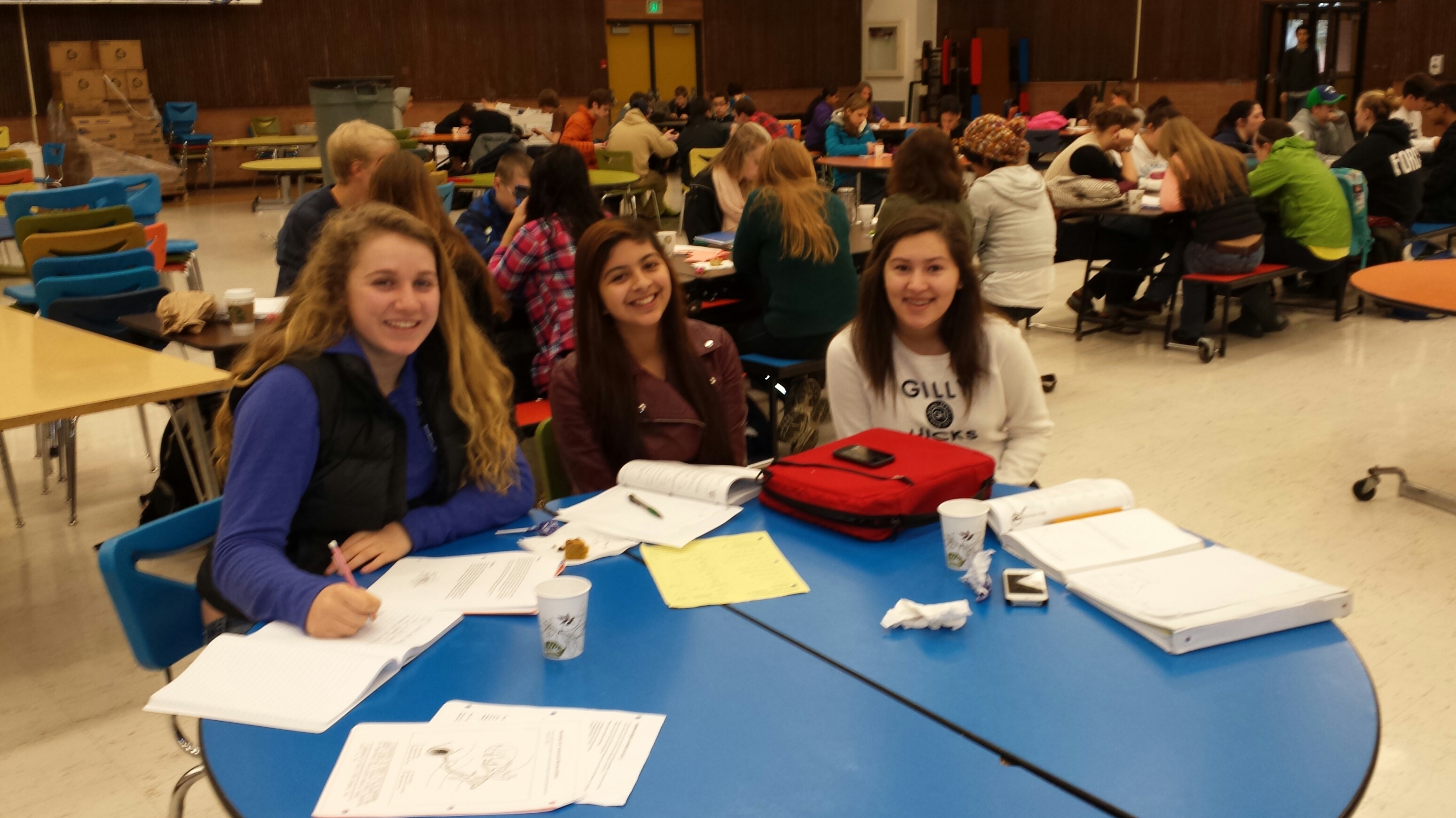 Meeting Linksmacdonald High School: Tutoring Program Meeting Linksmacdonald High School: Tutoring Program