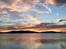 Bellingham for Martin Luther King