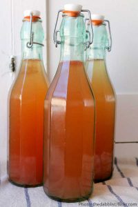 Kombucha and Fermentation @ WCLS Blaine Library | Blaine | Washington | United States