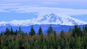 Chuckanut Mountain Marathon & 1/2 Trail Run @ Larrabee State Park | Bellingham | Washington | United States