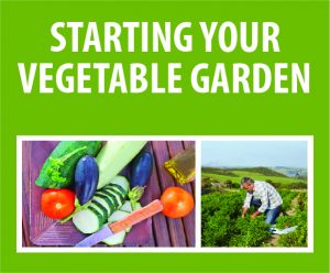 Starting Your Vegetable Garden @ WCLS Blaine Library | Blaine | Washington | United States