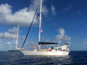 Virginia and Jerry on the journey of a lifetime as they sailed 15,000 miles. Photo courtesy: Virginia Malmquist.