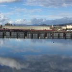ASB Pond by Jodi Broughton