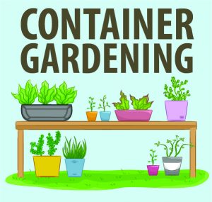 Container Gardening @ WCLS Blaine Library | Blaine | Washington | United States