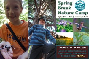 Spring Break Nature Camp @ Cornwall Park | Bellingham | Washington | United States