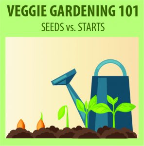 Veggie Gardening 101: Seeds vs. Starts @ WCLS Lynden Library | Lynden | Washington | United States