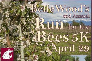 Run for the Bees 5K @ Bellewood Acres | Lynden | Washington | United States
