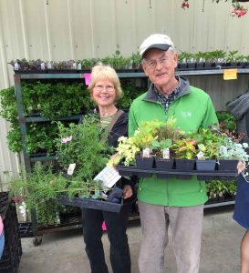 Cascade Cuts Plant Sale @ Cascade Cuts | Bellingham | Washington | United States