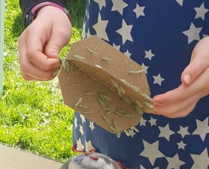 Kidz and Bugs @ Chuckanut Center at Fairhaven Park | Bellingham | Washington | United States
