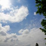 Solar in Whatcom County _0797