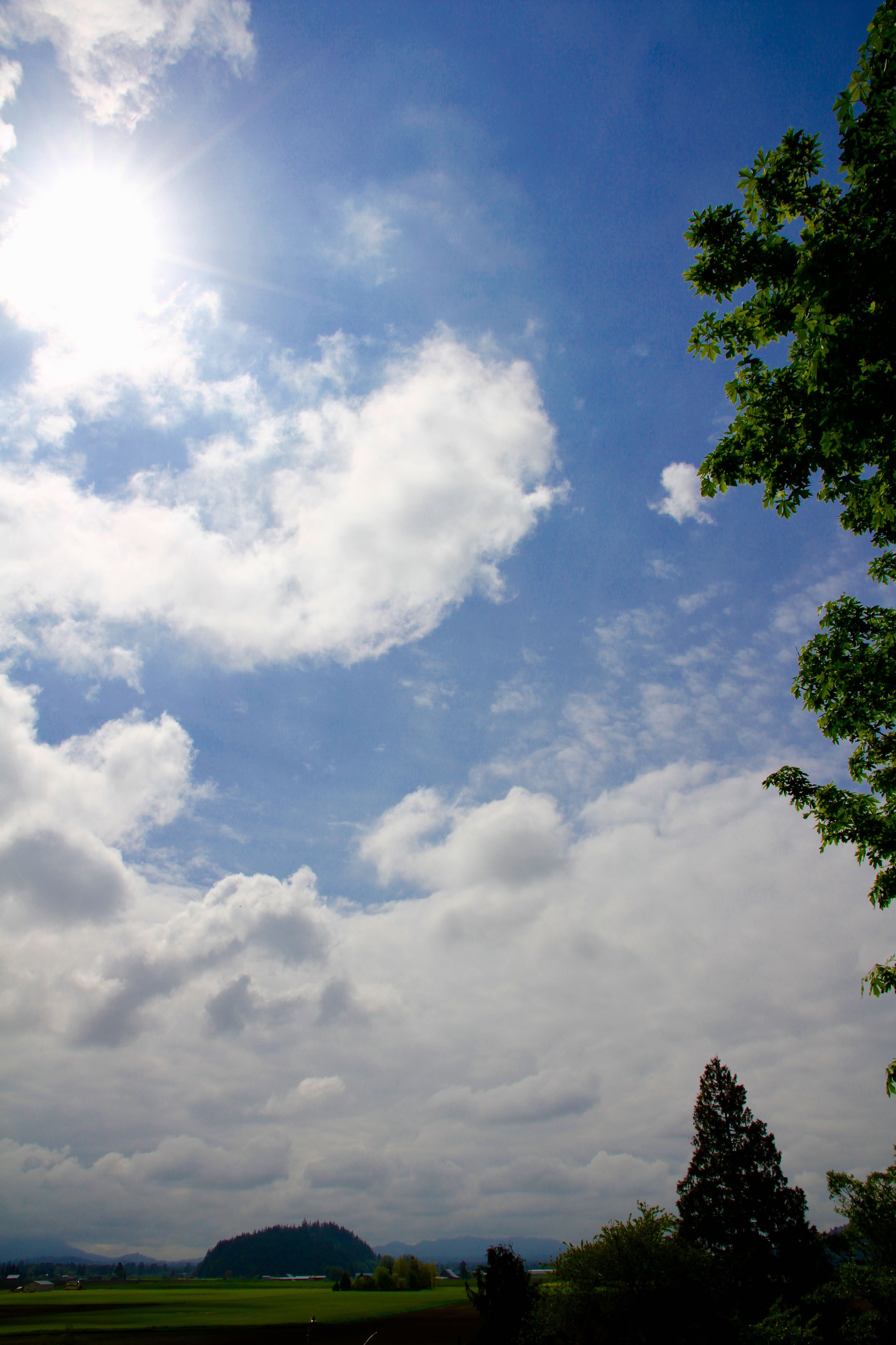 Solar in Whatcom County _0797