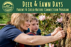 Deer & Fawn Day (Parent & Child Nature Connection) @ Lake Padden Park | Bellingham | Washington | United States
