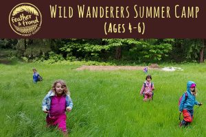 Wild Wanderers Summer Camp @ Fairhaven Park | Bellingham | Washington | United States