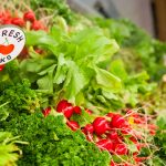 06 2017 fresh bucks produce-9475