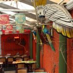 Chihuahua Mexican Restaurant Bird decorations