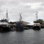 Blaine Harbor Maritime Sawtooth