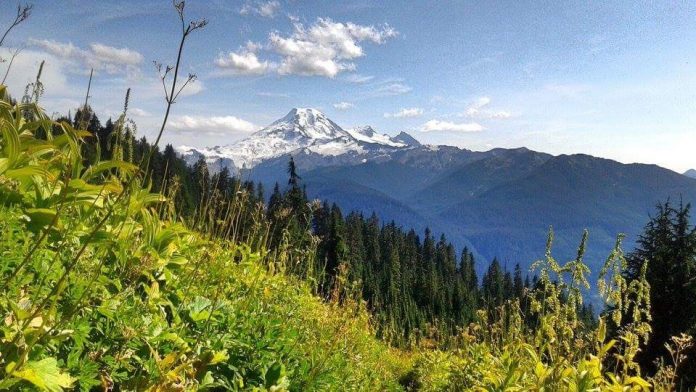 WhatcomTalk's most read stories in June