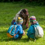 Feather-and-Frond-horsetail-learning
