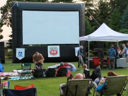 Ferndale's Flicks in the park