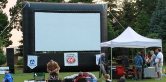 Ferndale's Flicks in the park