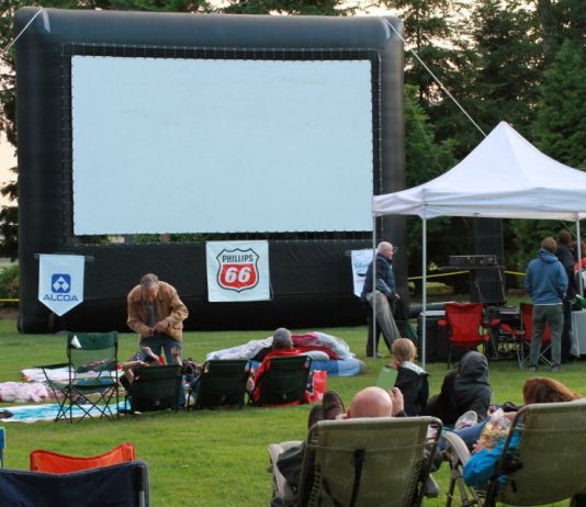 Ferndale's Flicks in the park
