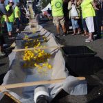 Ferndale Street Festival FSF2