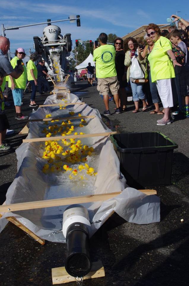 Celebrate the End of Summer at the Ferndale Street Festival
