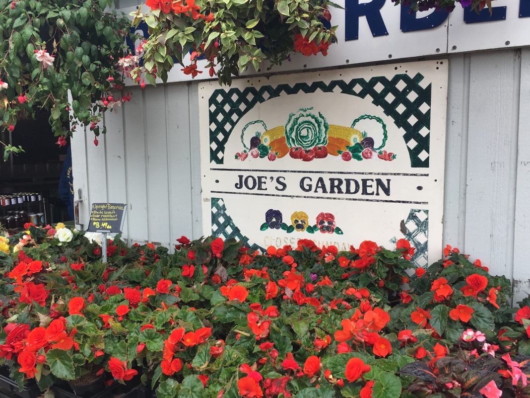 Fresh Summer Produce at Joe’s Gardens