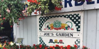 Fresh Summer Produce at Joe’s Gardens
