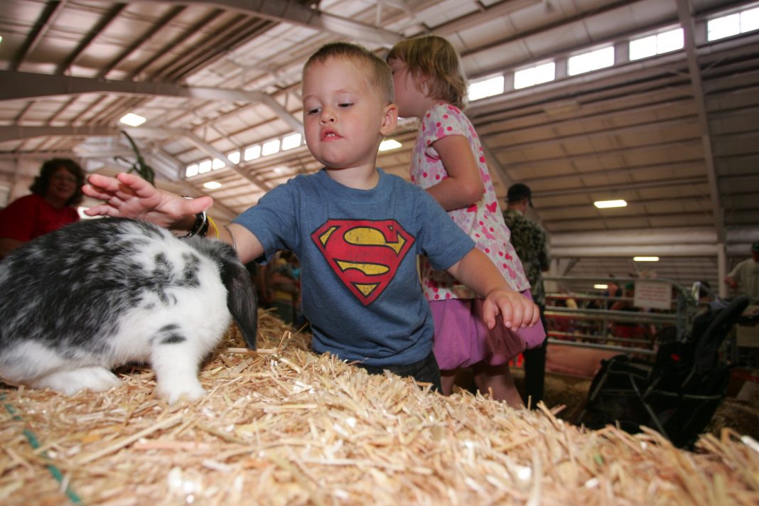 Whatcom County weekend events for Aug. 18-20