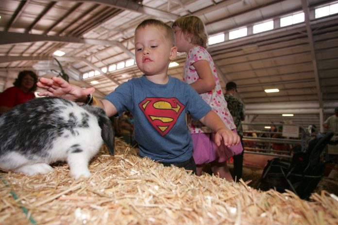 Whatcom County weekend events for Aug. 18-20