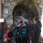 Orca Salish Sea Experience 8