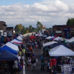 ferndale street festival shot