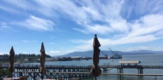 best bites of Bellingham