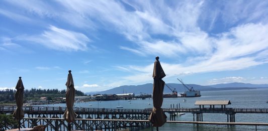 best bites of Bellingham