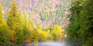 Whatcom County weekend events for Sept 8---10