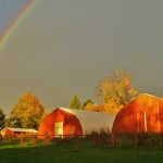 cascadia-mushrooms-farm-rainbow