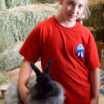 nwwafair 2017.22