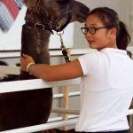 nwwafair 2017.3