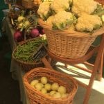 Hopewell BFM Display