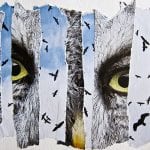 Inspirit-Form Collage Exhibit Deming
