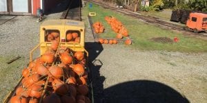 Pumpkin Patch on Rails @ Lake Whatcom Railway | Sedro-Woolley | Washington | United States
