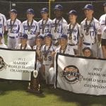 ferndale world series 3