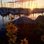 by Jodi Boughton 2 Scenic
