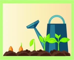 Learn to Grow a Vegetable Garden @ WCLS Sumas Library | Sumas | Washington | United States