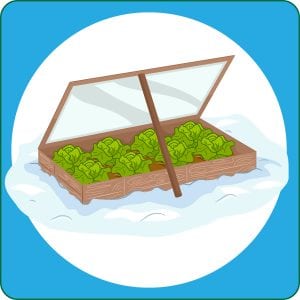 Winter Gardening @ WCLS Blaine Library | Blaine | Washington | United States