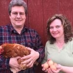 Misty Meadows Farm 7