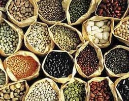 Seed Saving for Gardeners with Terri Wilde @ Chuckanut Center | Bellingham | Washington | United States