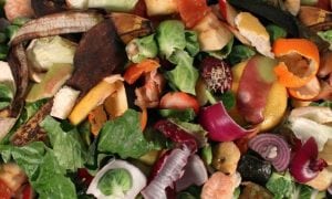 Wasted! The Story of Food Waste presented by WSU Whatcom County Extension @ Pickford Film Center | Bellingham | Washington | United States
